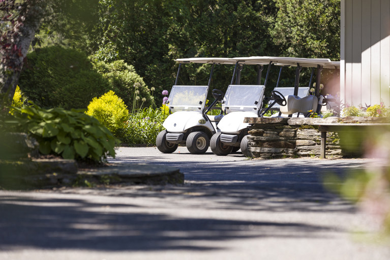 LMCC_Golf Carts
